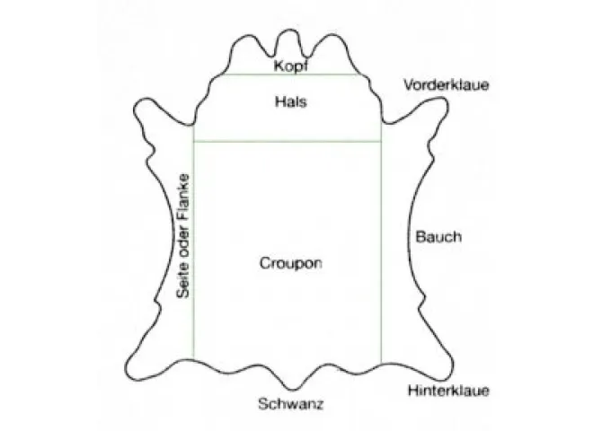 Aufbau