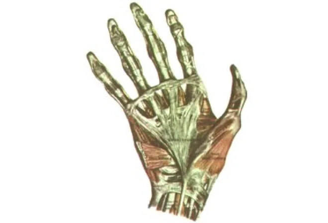 Hand